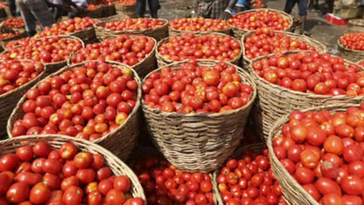 Tomato price will not decrease