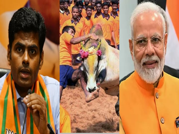 no ban on jallikattu