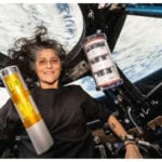 sunita williams