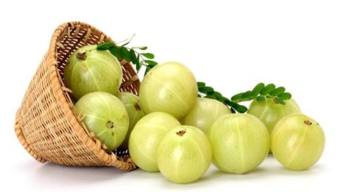 Health Benefits of Indian Gooseberry