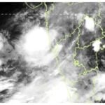 Kerala Monsoon