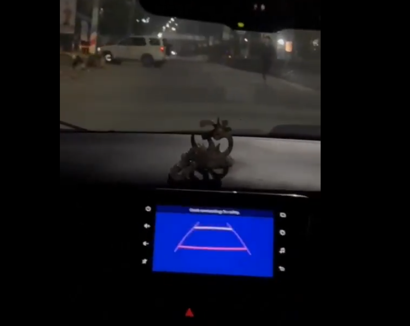 youth chased the women car on the ECR