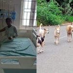 nurse suspended to inject NRV