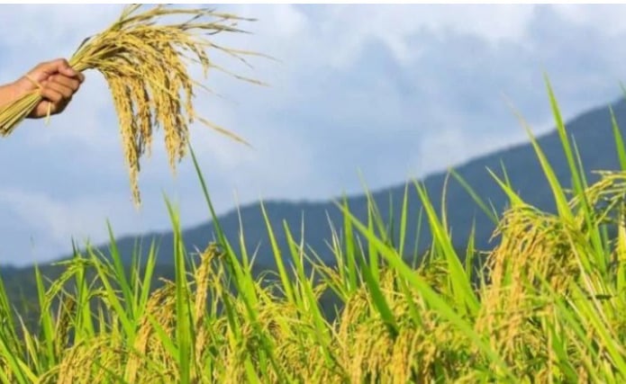 edappadi urge mk stalin crop insurance