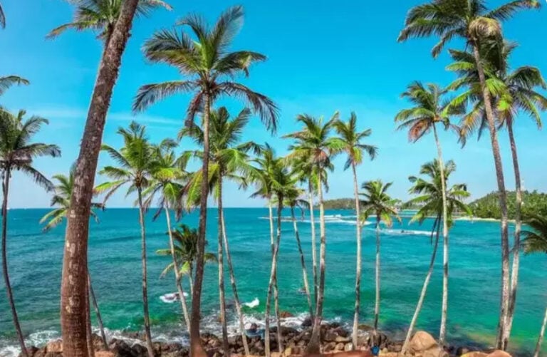 google reveals top 10 tourist places