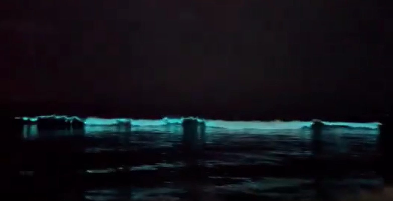 Blue Waves in the Bay of Bengal: Why... What?