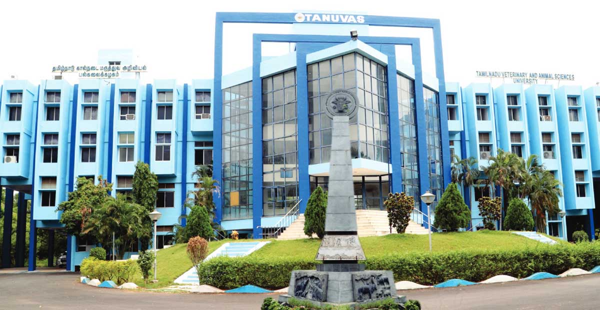 TANUVAS Professor Librarian Recruitment 2025