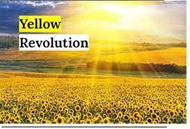 75 Years of Independence India's Scientific Development