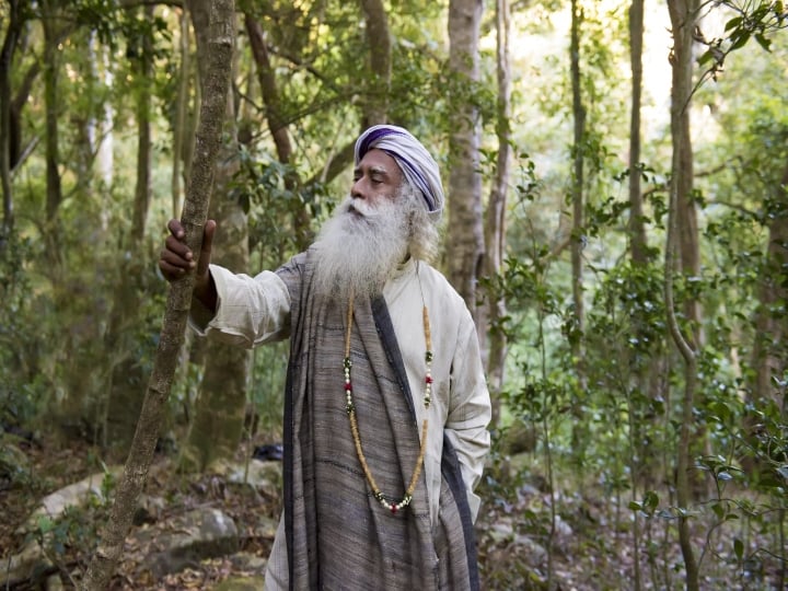 Why do you feel hatred towards others?