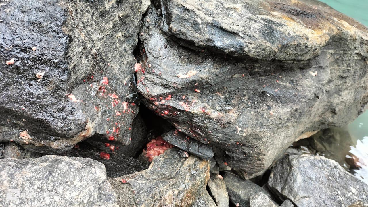 What happened to Vetri Duraisamy?