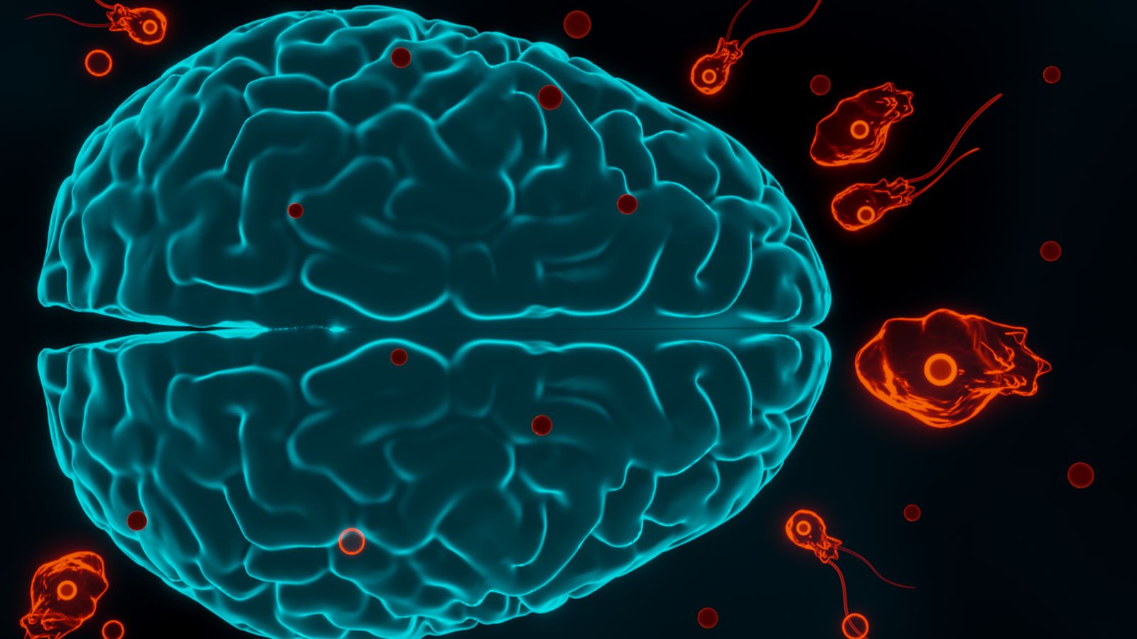 Brain-eating amoeba... 3 children killed: Tamil Nadu government alert!