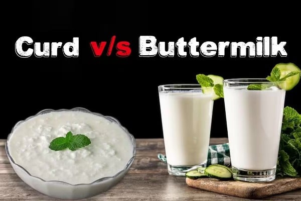 curd or buttermilk which is right for this season