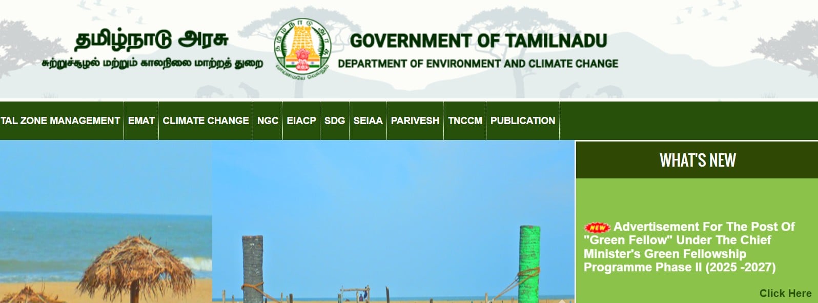 TNCMGFP Green Fellowship Recruitment 2025