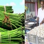 Drumstick and garlic prices hit new highs in Chennai!