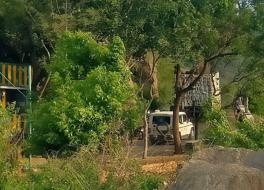 arikomban elephant caught