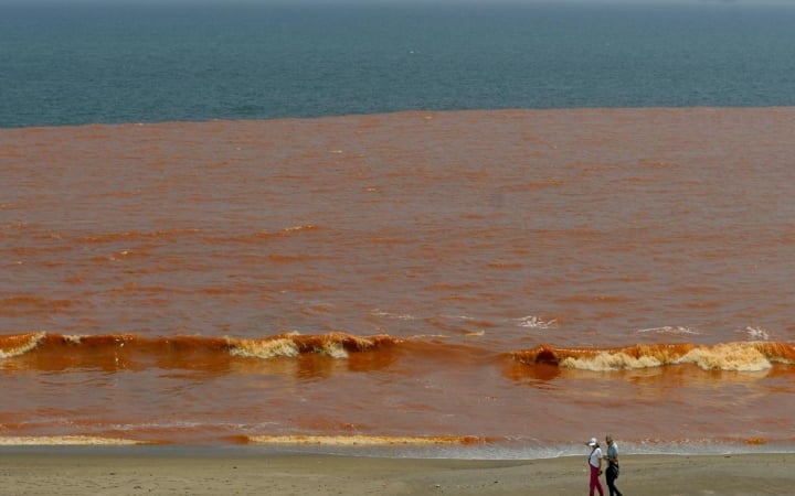 puducherry beach turns red