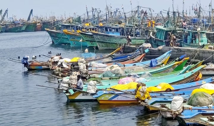 tamilnadu fisherman released