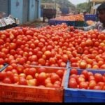 tomato price hike in chennai koyambedu market on today