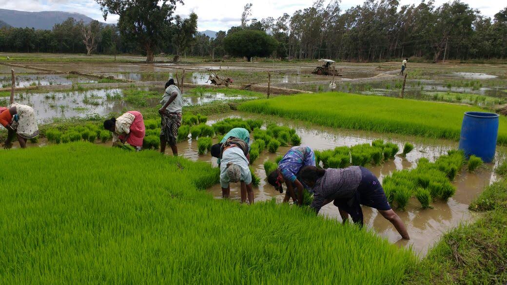 origin stories plantations computers 3