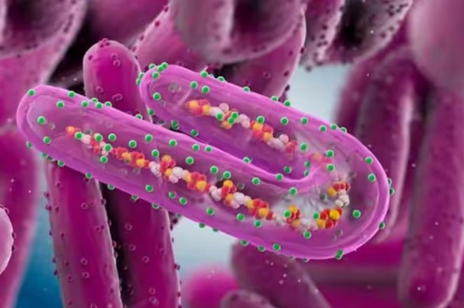 Equatorial Guinea confirms the Marburg virus WHO