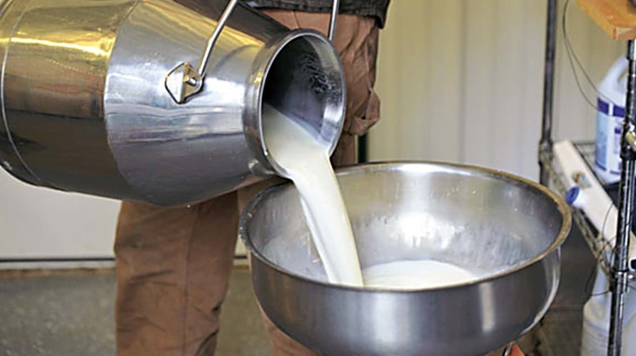 Low milk price in Tamil Nadu - find out how much!