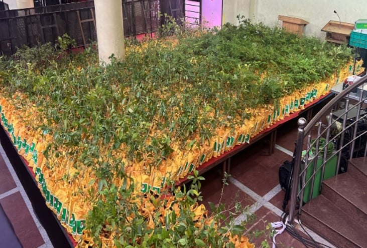 mkstalin give tree plant as his birthday gift