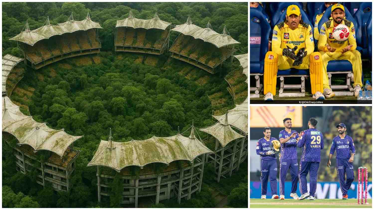 kkr teasing csk with sapling trees goes viral