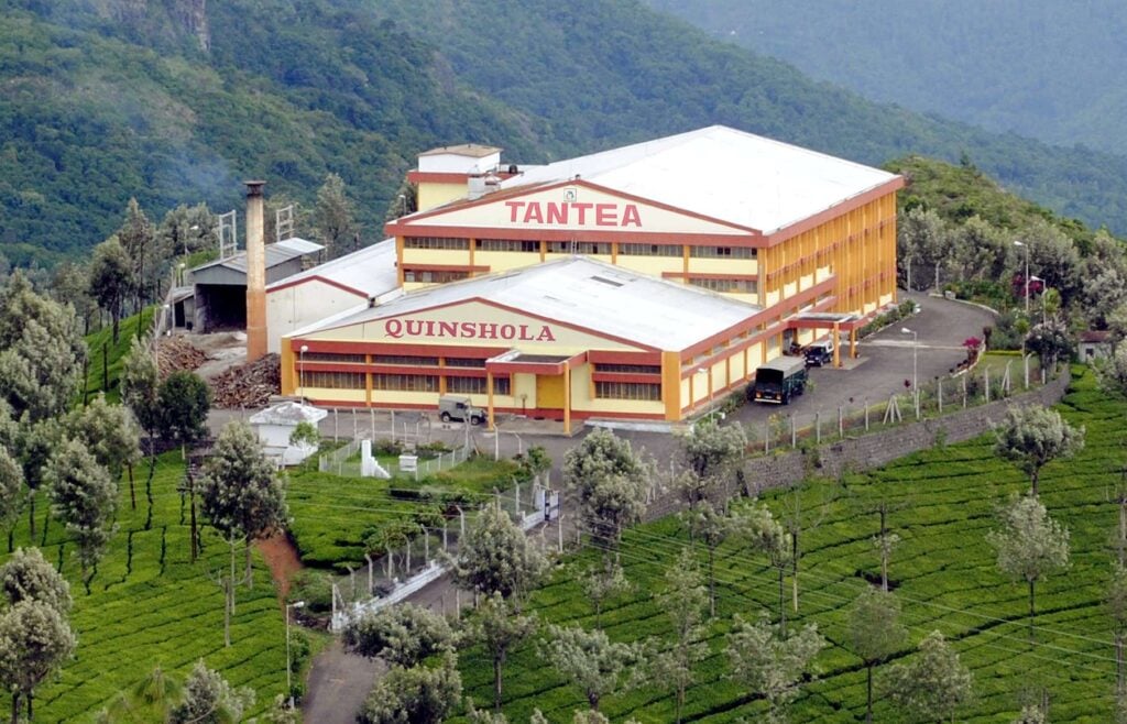 Central Govt ready to run TANTEA Annamalai