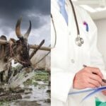 Self-sufficiency in agriculture and medicine