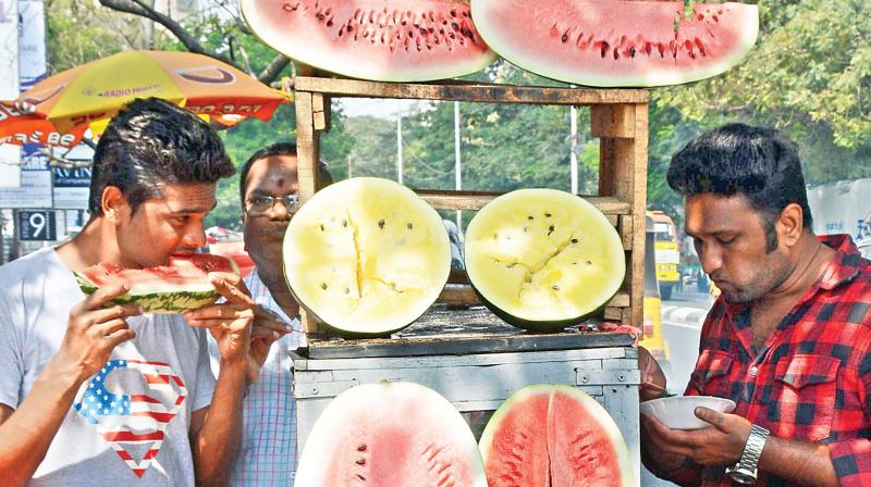 highest temperature in Tamil Nadu