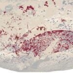 current affairs tamil cave painting