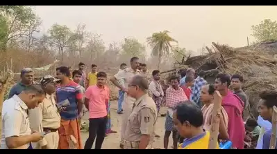 Woman dead after elephant attack